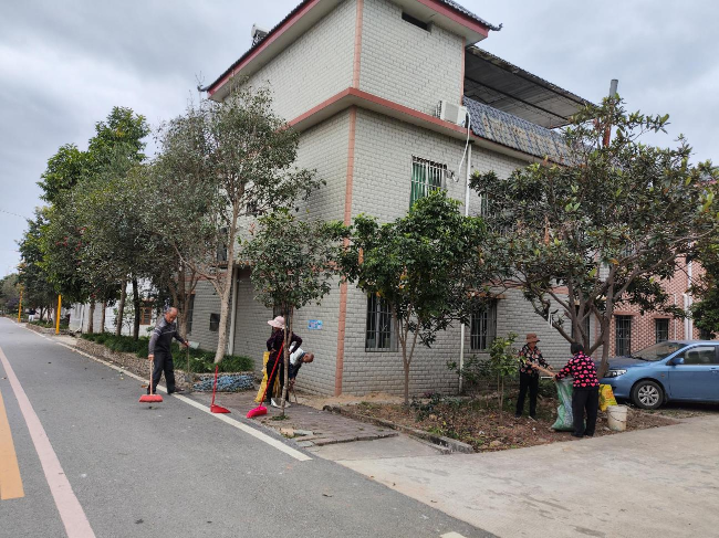 江尾镇开展春季爱国卫生运动 .png