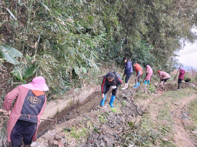 周陂镇阳东村：村民齐心疏通水圳，保障农田春耕用水.png