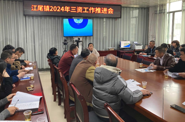 江尾镇召开2024年三资工作推进会.png