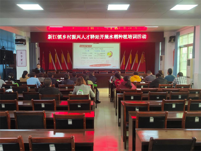 新江镇乡村振兴人才驿站开展水稻种植培训专项培训活动.png