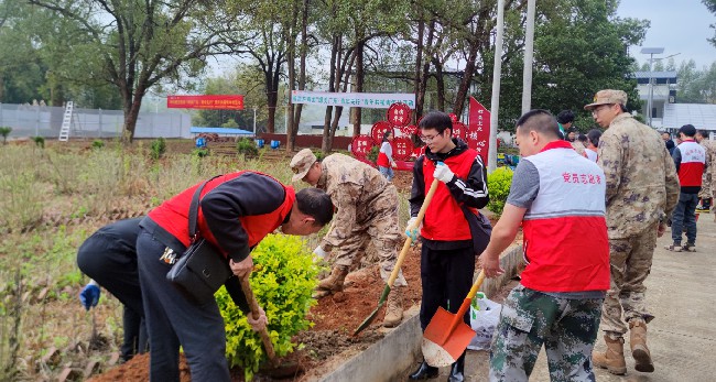 龙仙镇开展军民共建之植树活动.jpg