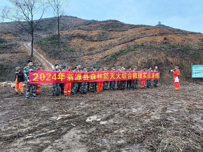 铁龙镇开展森林防灭火综合救援实战演练.jpg