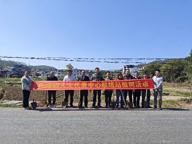 官渡镇人大开展“人大代表林”植树活动.jpg