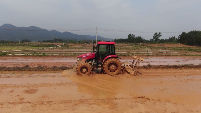 翁源全面推行“田长制” 实现耕地保护责任[00_03_25][20240404-100904].png