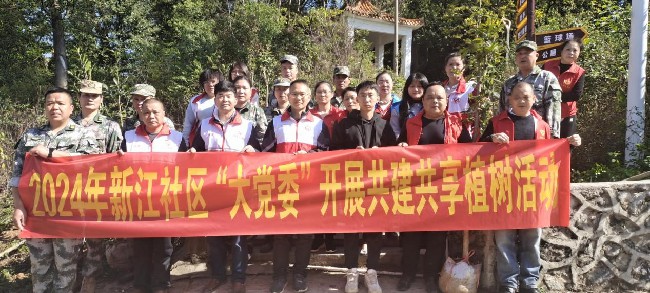 新江镇：社区大党委多措并举.jpg