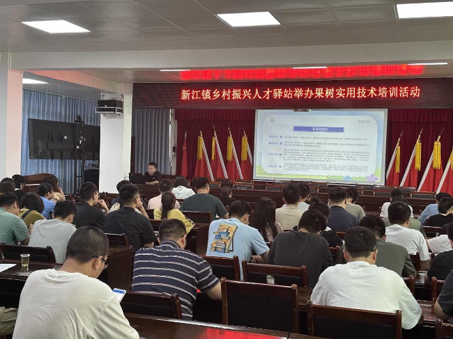 新江镇乡村振兴人才驿站举办果树实用技术培训活动.png