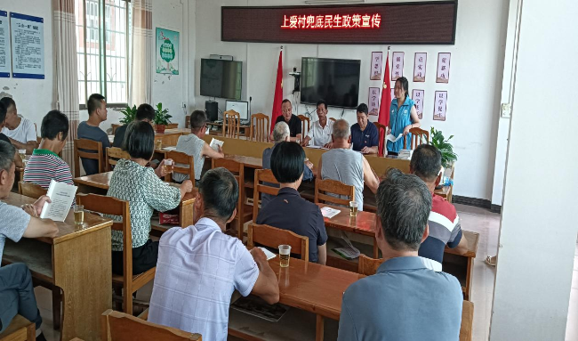 坝仔镇上爱村开展兜底民生政策宣传活动.png