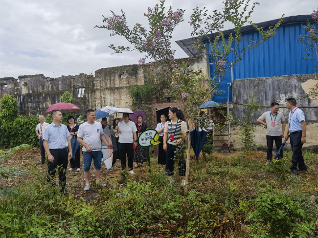 龙仙镇城南社区人大代表联络站开展“绿美翁源 人大代表在行动主题活动.png