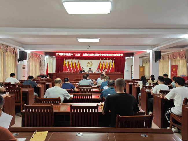 江尾镇召开农村集体“三资”监管突出问题集中专项整治行动部署会.png