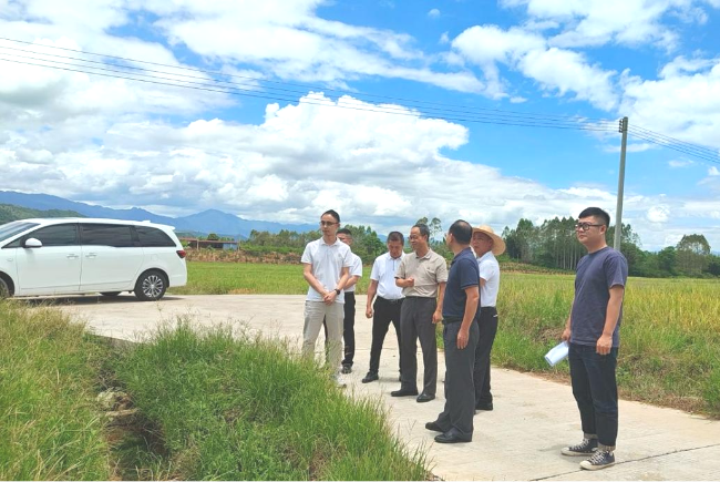 7.19韶关市农业农村局到江尾镇联光村开展垦造水田后期管护工作调研.png
