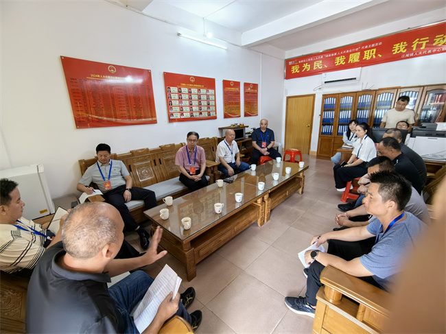 2024年7月17日翁源县人大常委会主任温毅麟以人大代表身份参加江尾镇代表主题活动。.jpg