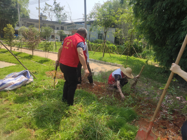 新江镇新益村开展“保护公园环境，从我做起”清洁行动.png