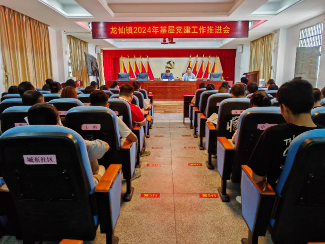 龙仙镇召开2024年基层党建工作推进会.png