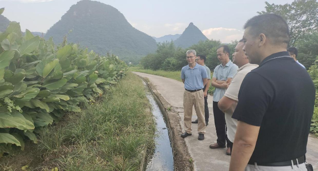 省农科院庄春营专家一行到铁龙镇开展蕉芋产业发展情况调研活动2.png