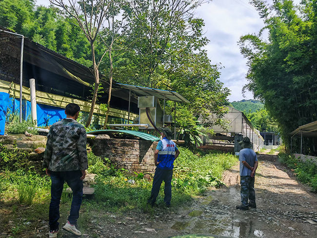 坝仔镇大力开展禁种踏查行动.jpg