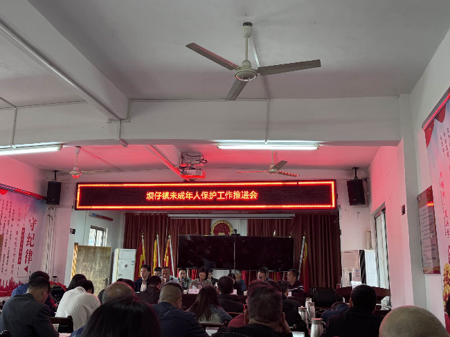 坝仔镇召开未成年人保护工作推进会.png