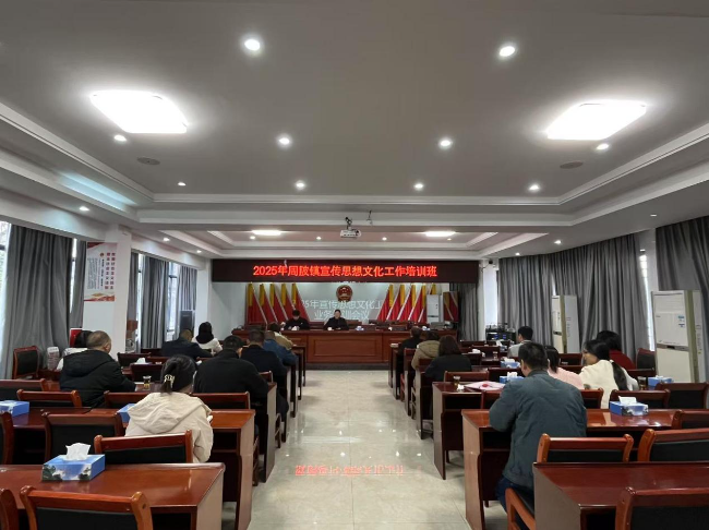 周陂镇开展宣传思想文化工作培训班.jpg