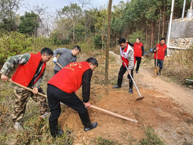 坝仔镇群辉村开展乡村绿化植树活动.png