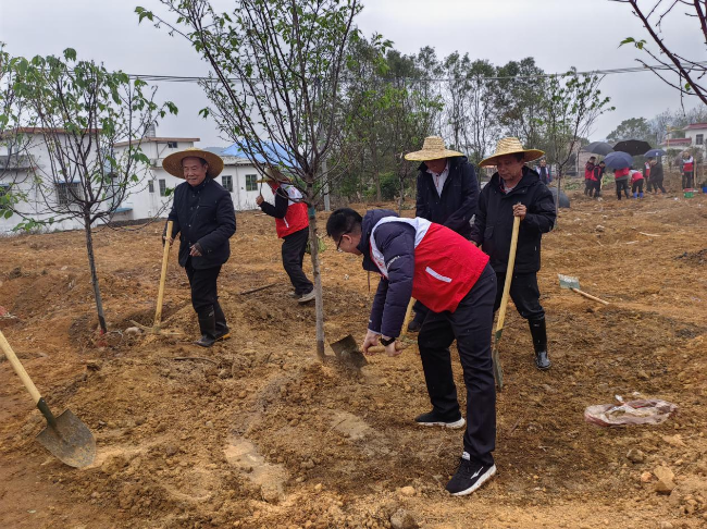 江尾镇关工委开展乡村绿化植树护绿活动.png