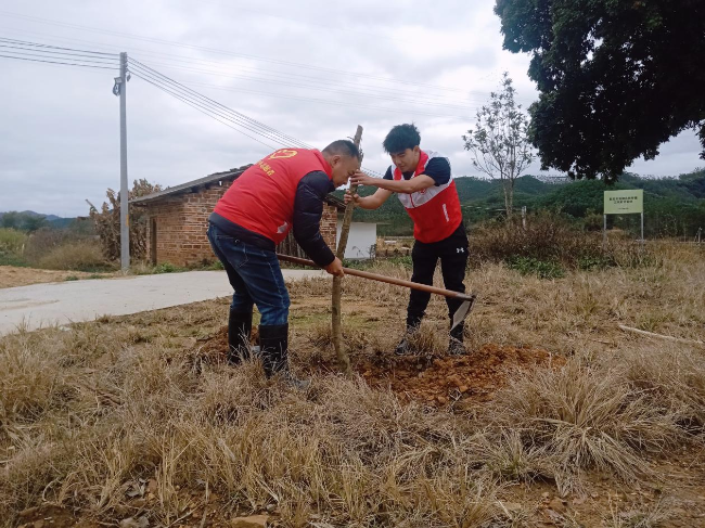 坝仔镇三坑村党总支部开展植树活动，为美丽乡村添新绿1.png