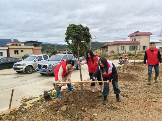 坝仔镇三坑村党总支部开展植树活动，为美丽乡村添新绿2.png