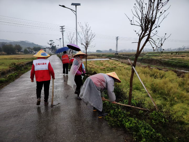 巾帼添绿，共筑美好家园--江尾镇开展妇女节植树活动2.jpg