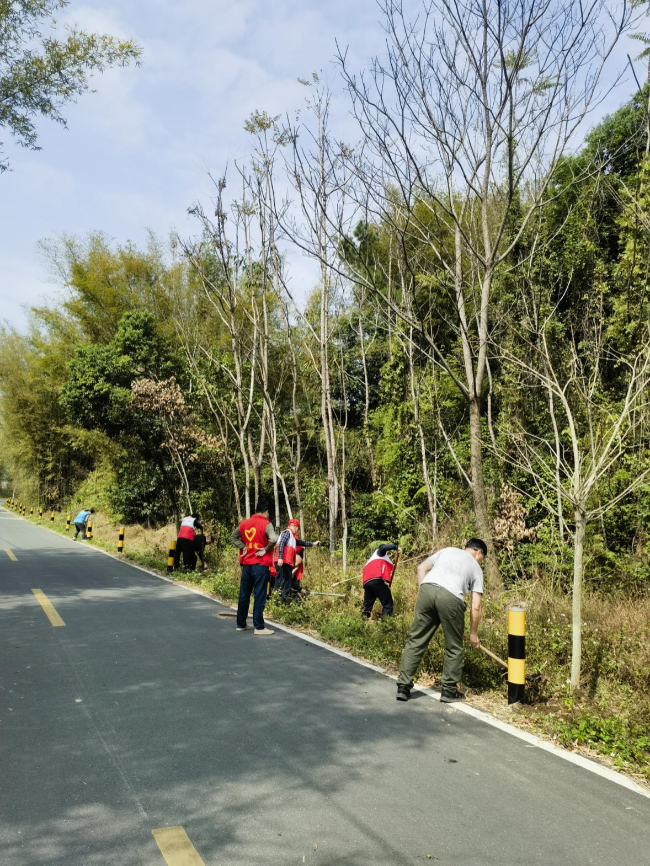 翁源县住建管理局党支部开展绿美乡村义务植树活动.png