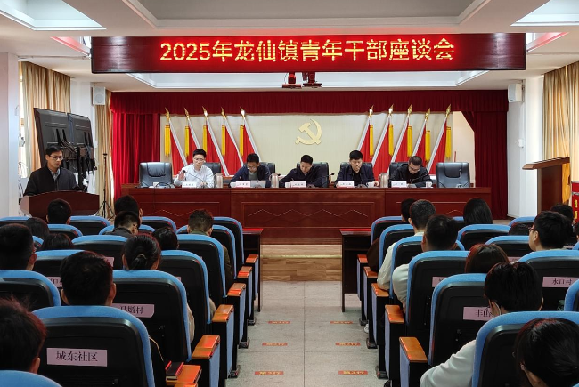 “青”听声音，凝“青”聚力，共谋发展—龙仙镇召开青年干部座谈会.png