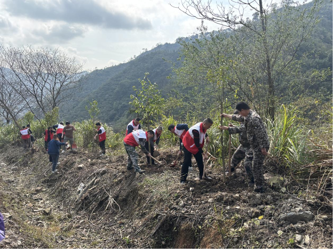 铁龙镇开展全民义务植树活动.png