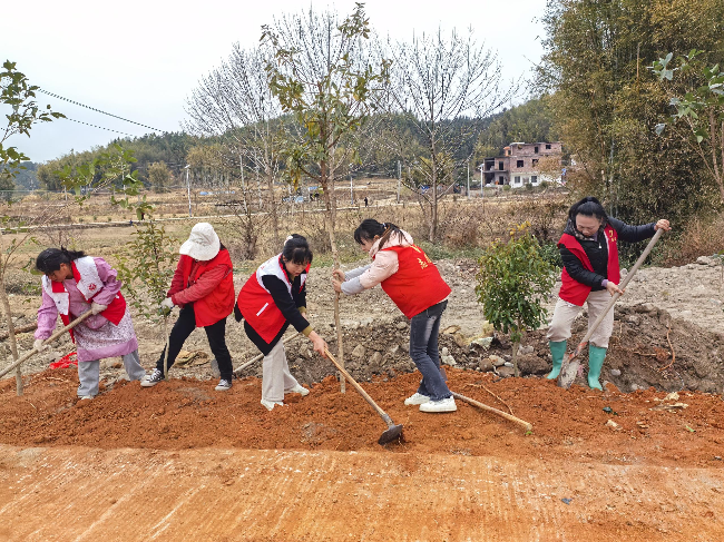 龙仙镇组织各村妇联开展“同植幸福树 共建绿美家”植树活动.png