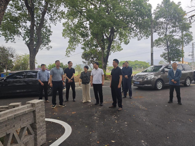 市政协率队到江尾镇开展典型镇村建设工作调研.png