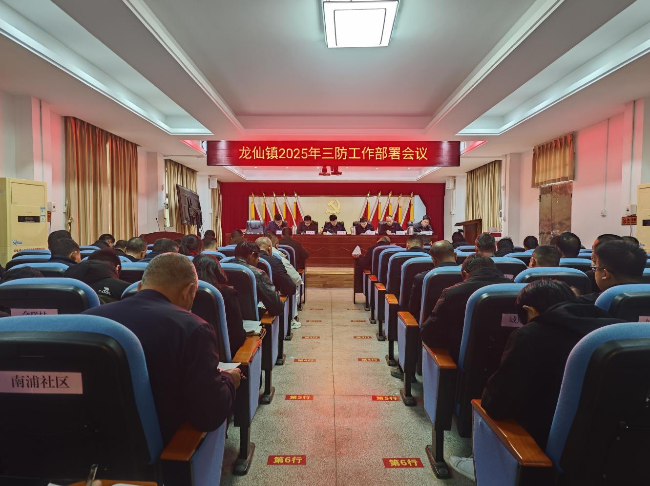 龙仙镇：防汛工作做在事前，人民安全放在心尖.png