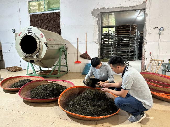 科技赋能产业振兴 消费帮扶助农增收.jpg