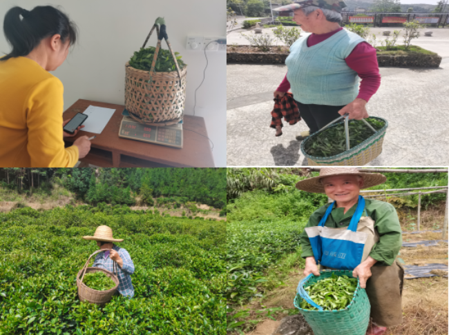 科技赋能产业振兴 消费帮扶助农增收3.png