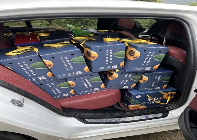 党建引领解民忧 产销联动助振兴：翁源县新江镇工作队破解枇杷滞销难题2.png