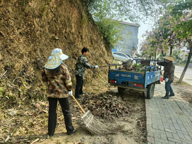 坝仔镇金星村开展人居环境整治行动.png