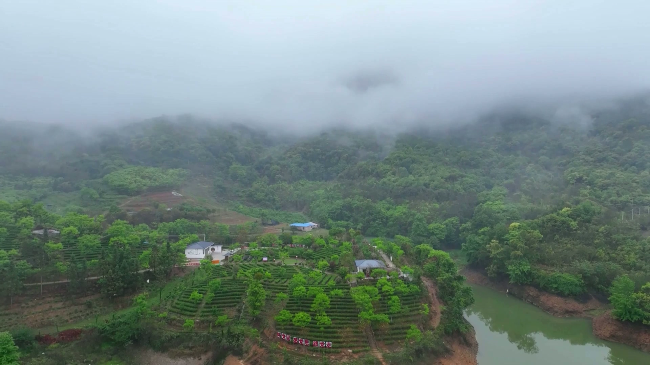 全国劳模沈仲灯：脚下有泥 心中有梦.mp4_20250516_182626.347.jpg