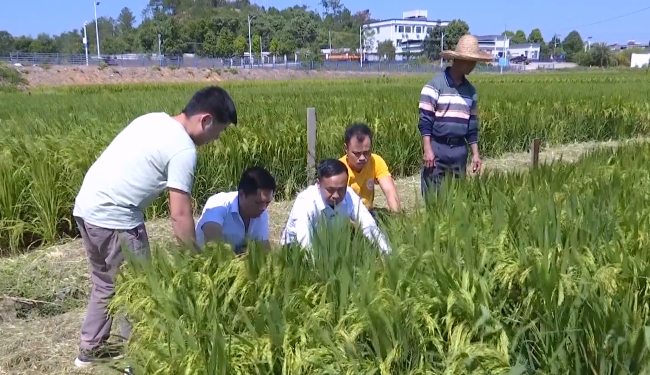 全国劳模沈仲灯：脚下有泥 心中有梦.mp4_20250516_182542.883.jpg