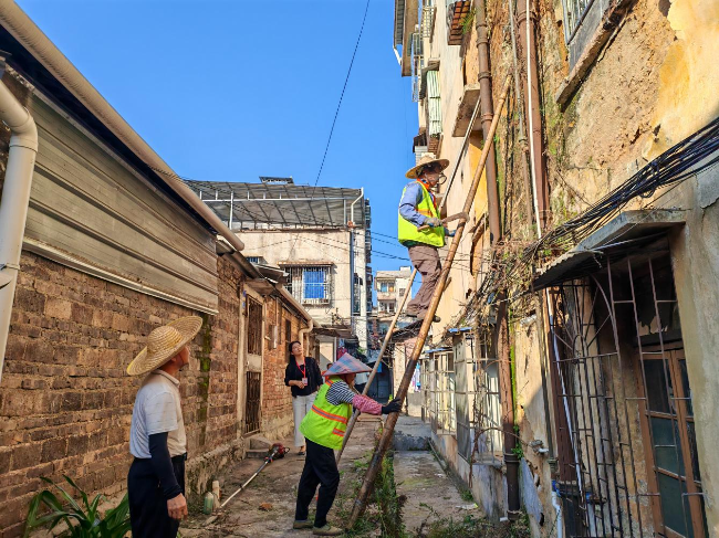 【我为群众办实事】龙仙镇新华社区：党建引领聚合力 社企联动解民忧.png