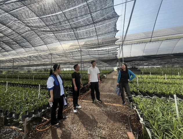 龙仙镇开展农业龙头企业调研工作.png