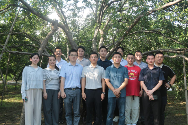 数字三维赋能 粤港澳青年企业家共探三华李产业振兴新路径.png