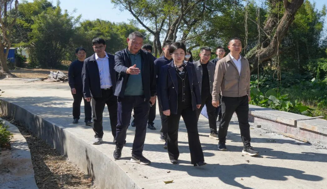 钟真带队到翁城镇调研督导“百千万工程...