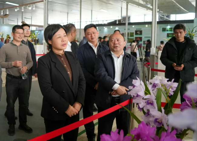 钟真到翁源县兰花展示交易中心调研相关...