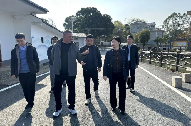 钟真带队到翁城镇、新江镇调研督导重点...