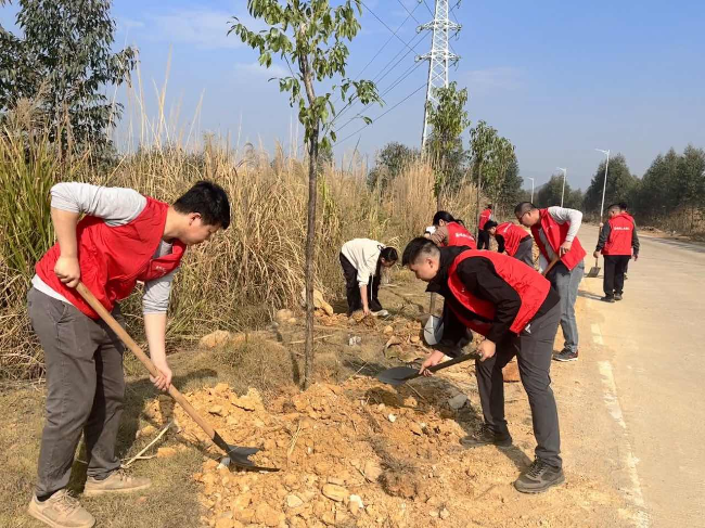 干群齐心植新绿 共绘乡村新画卷.png