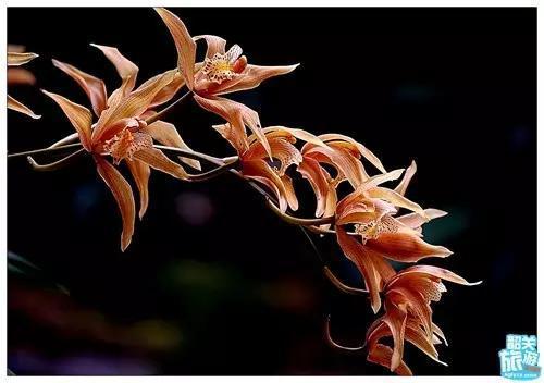 既文艺又好玩的翁源快到碗里来!